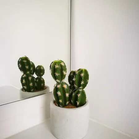 Springs Prázdninový dům Furnas (Azores)