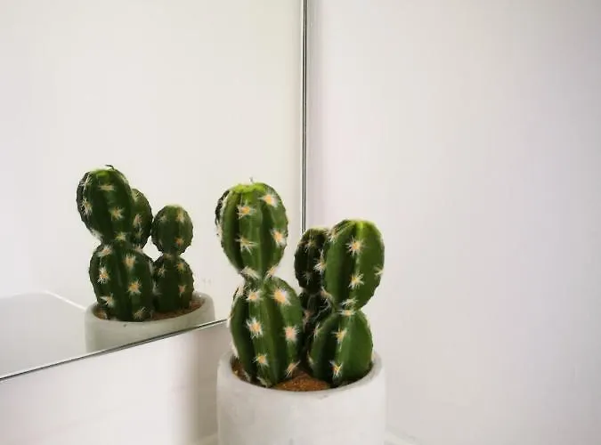 Springs 펜션 푸나스